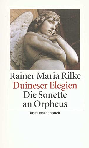 Duineser Elegien. Die Sonette an Orpheus (insel taschenbuch) von Insel Verlag GmbH